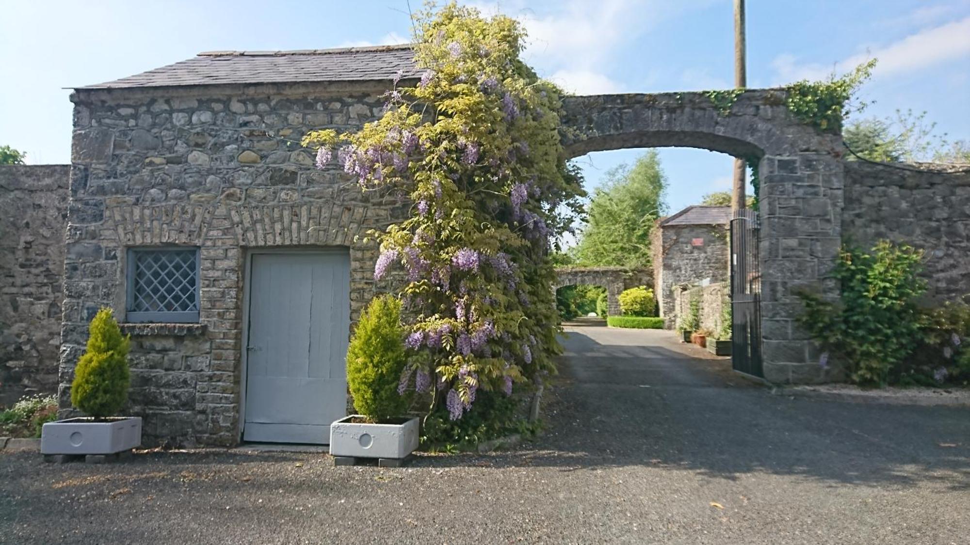 Leixlip Manor Hotel Exterior foto